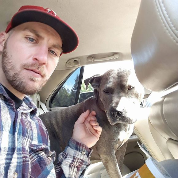 Meet your Posher, Kyle - Picture 1 of 1